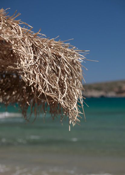 The beach